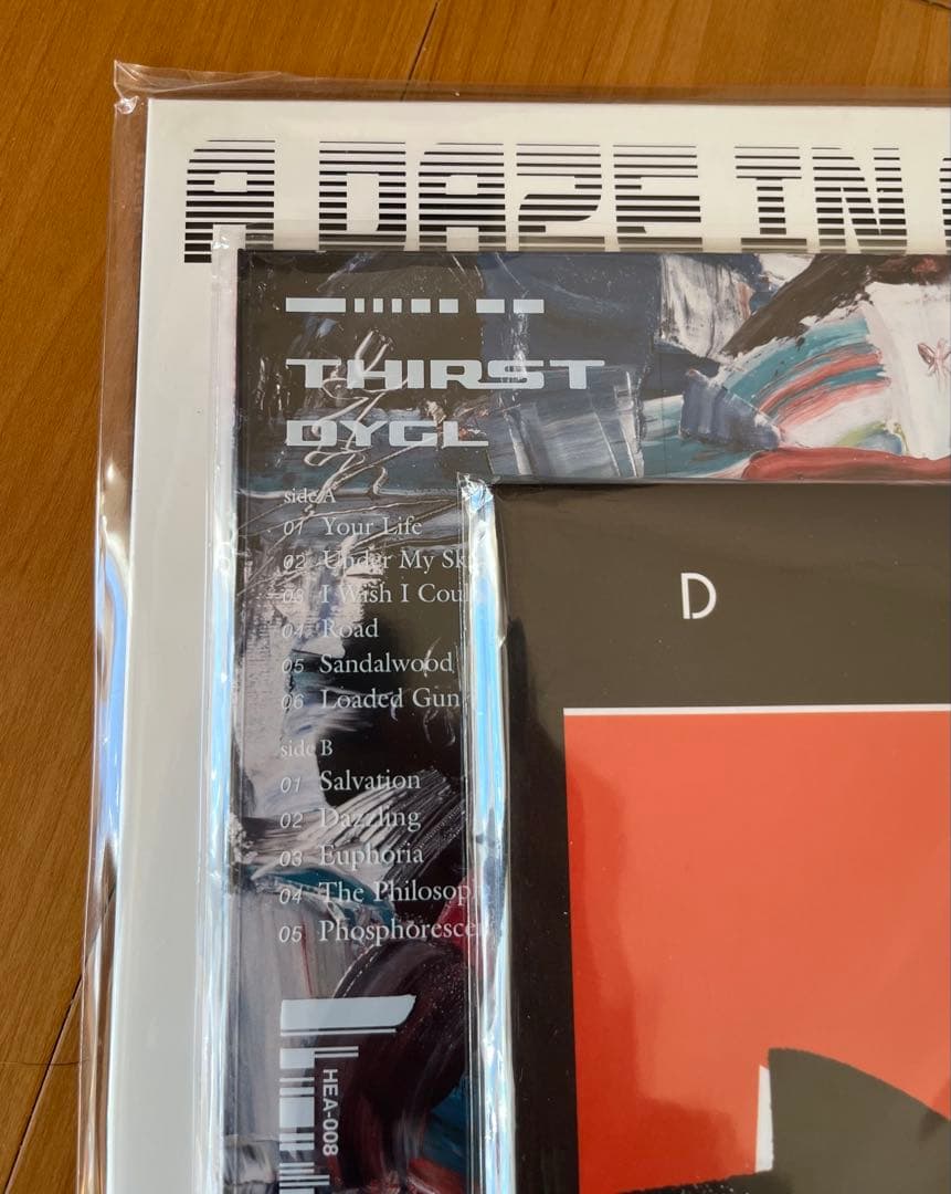 新品未使用品 DYGL レコード 3枚セット
