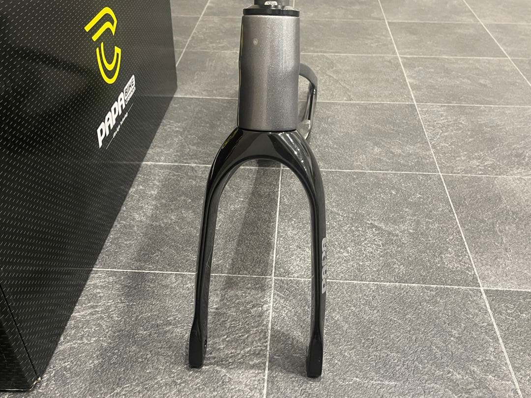 PAPABIKE TESLA パパバイク　テスラ　カーボンフレーム