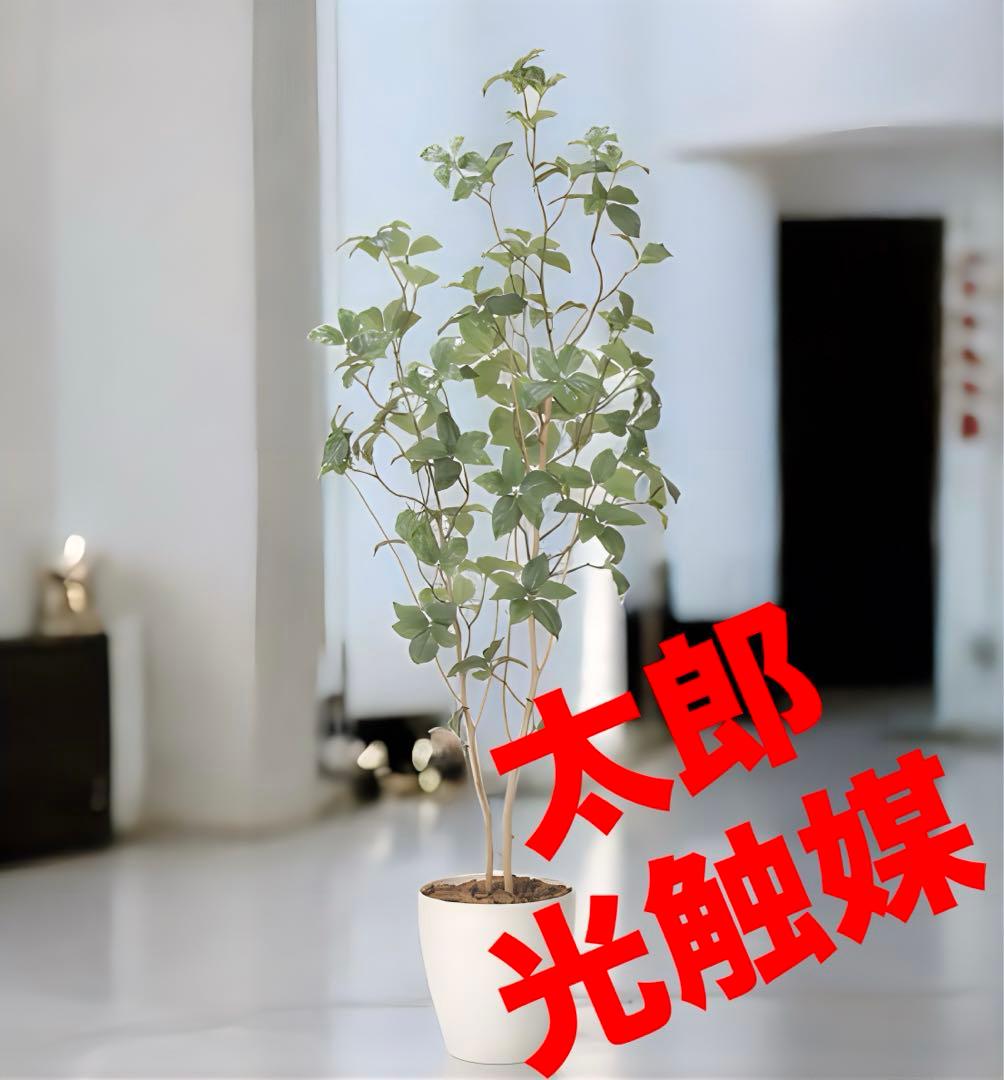 光触媒　人工観葉植物　ウォールグリーン　フェイクグリーン　サラサドウダン1.6