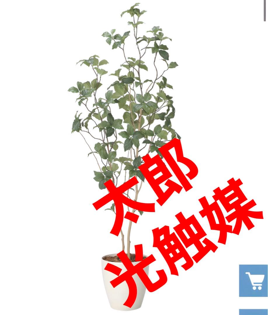 光触媒　人工観葉植物　ウォールグリーン　フェイクグリーン　サラサドウダン1.6