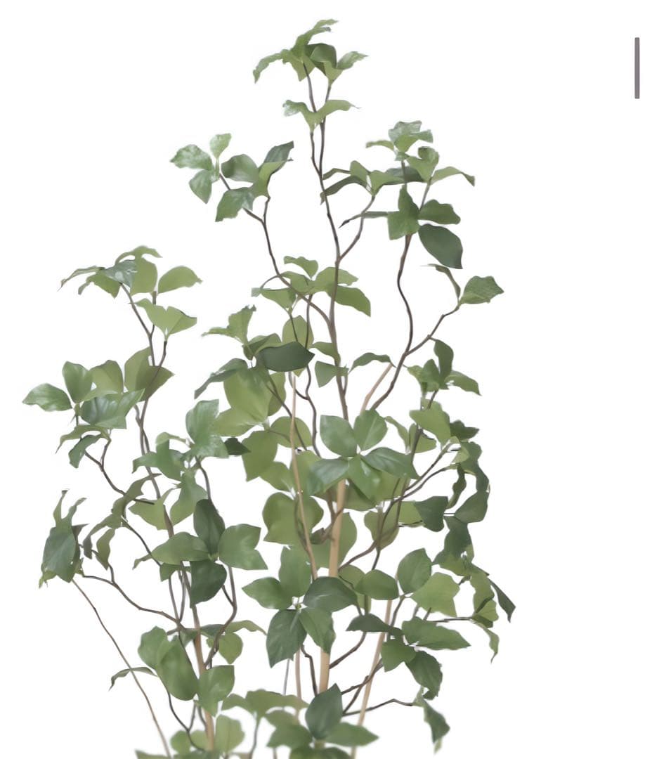 光触媒　人工観葉植物　ウォールグリーン　フェイクグリーン　サラサドウダン1.6