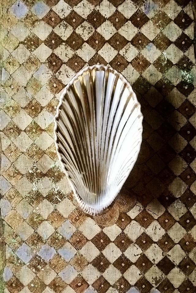 19世紀 金の貝と大きなラヴィエb パリ窯 プレート シェル アンティーク