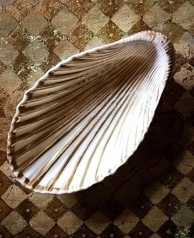 19世紀 金の貝と大きなラヴィエb パリ窯 プレート シェル アンティーク