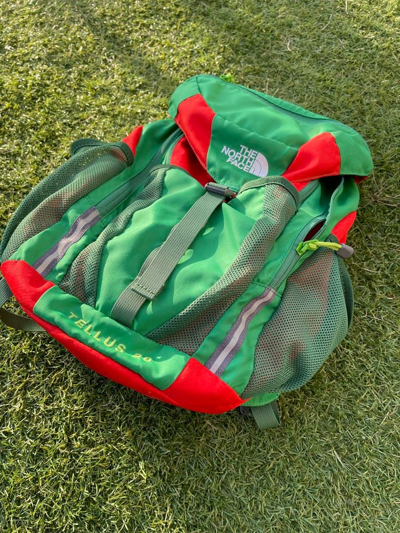 入手困難×稀少色THE NORTH FACE ノースフェイス テルス20リュック