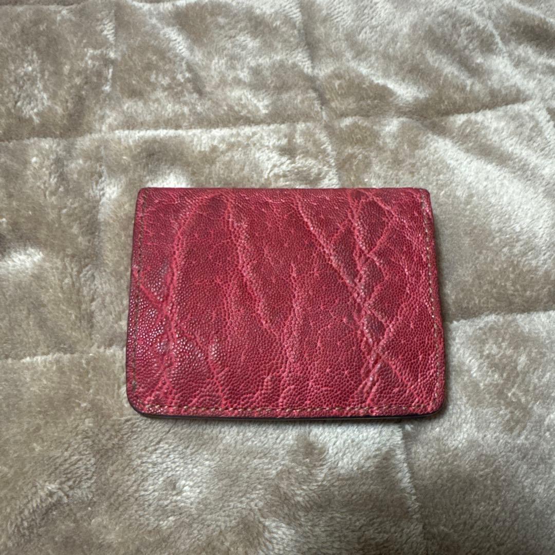 WILDSWANS kf-003 エレファント　ワイルドスワンズ