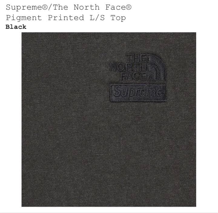 22fw Supreme The North Face L/S Top ロンT