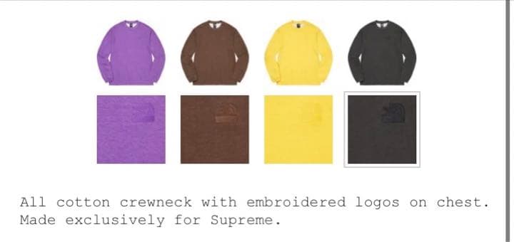 22fw Supreme The North Face L/S Top ロンT