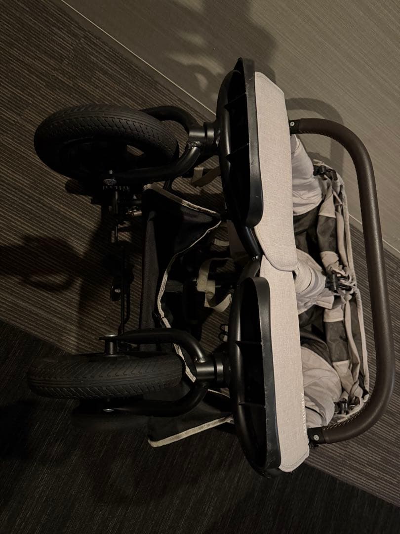 ベビーカー・バギー Air Buggy COCO DOUBLE EX FROM BIRTH