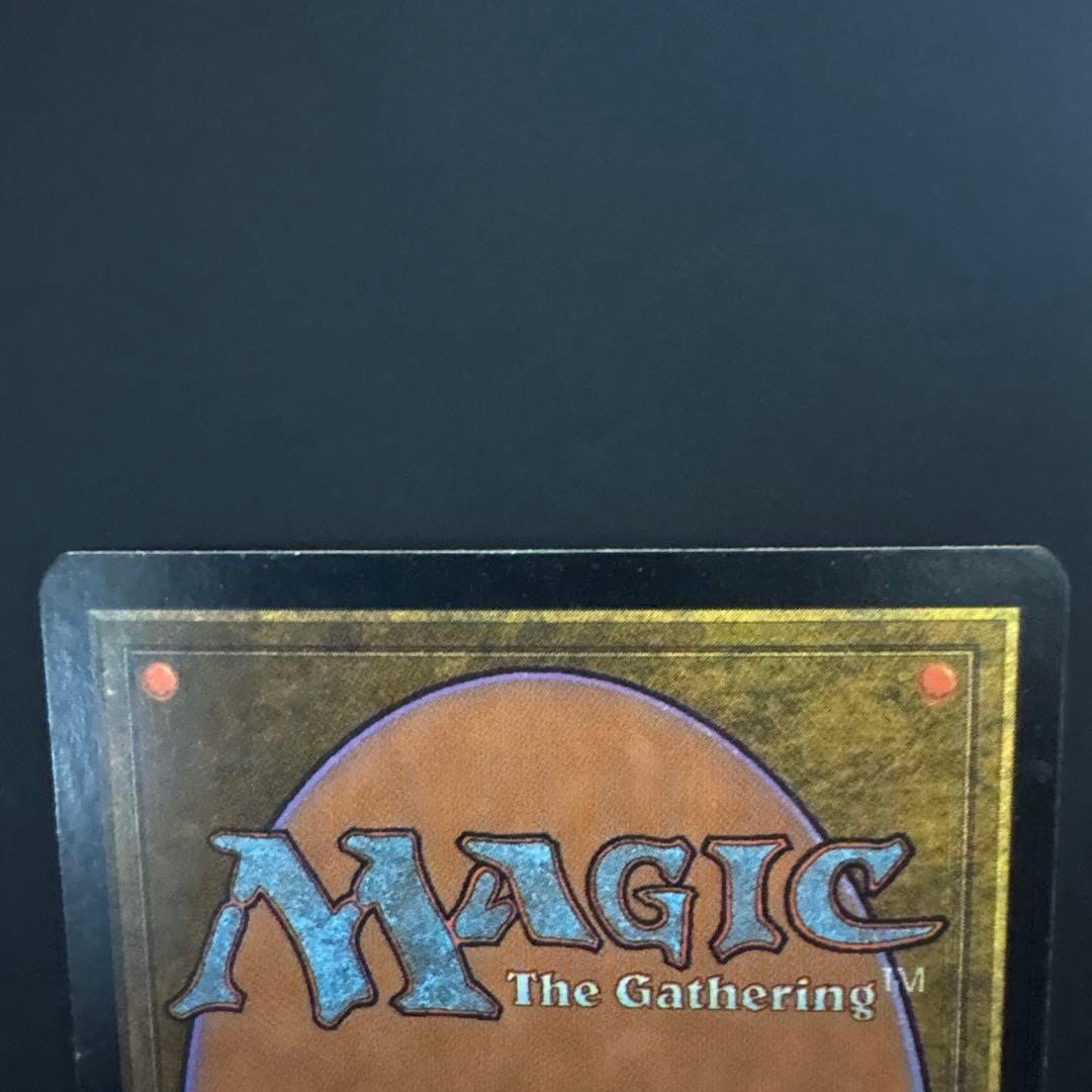 MTG foil 蓄積した知識　日本語