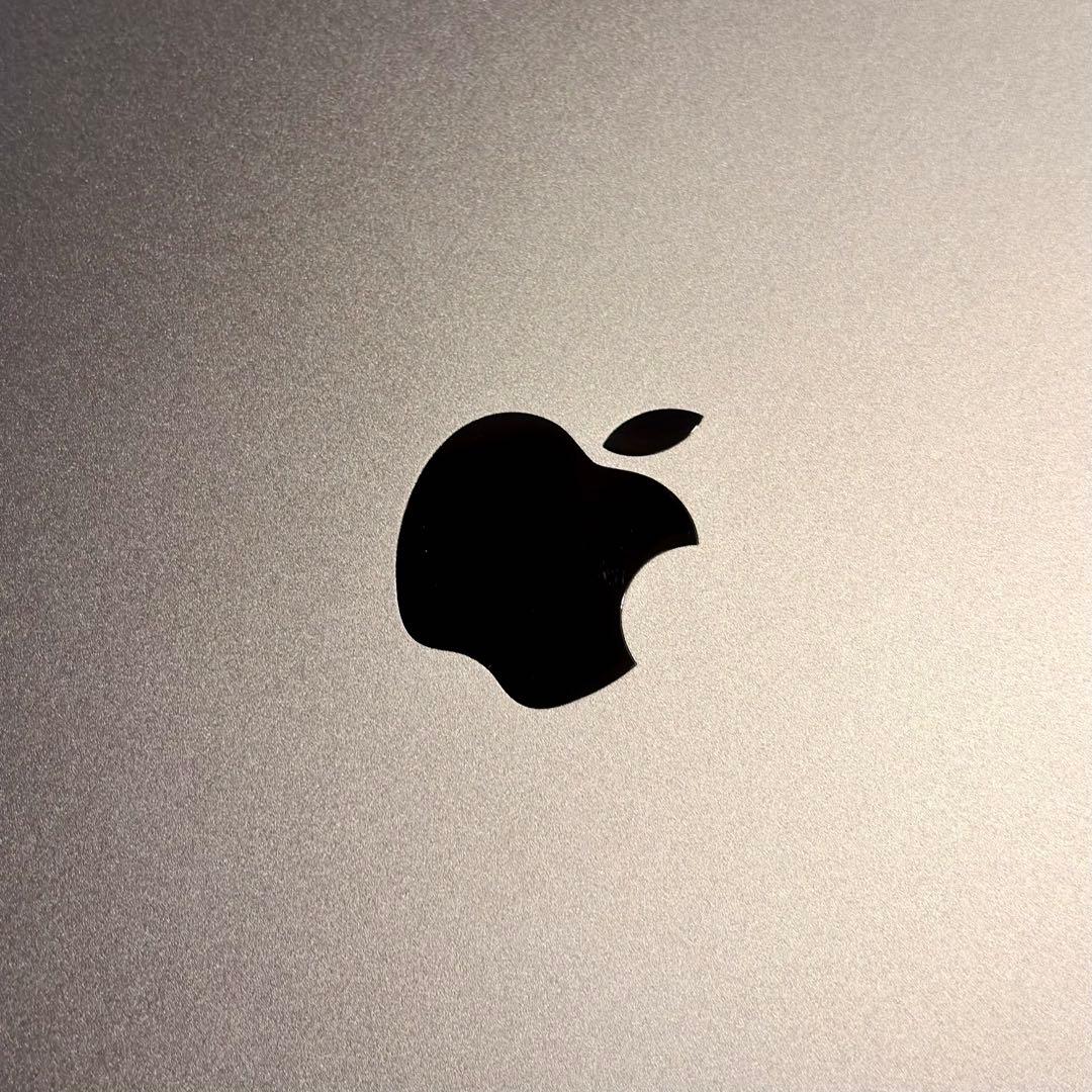 iPad Pro 11インチ (第2世代) 256GB