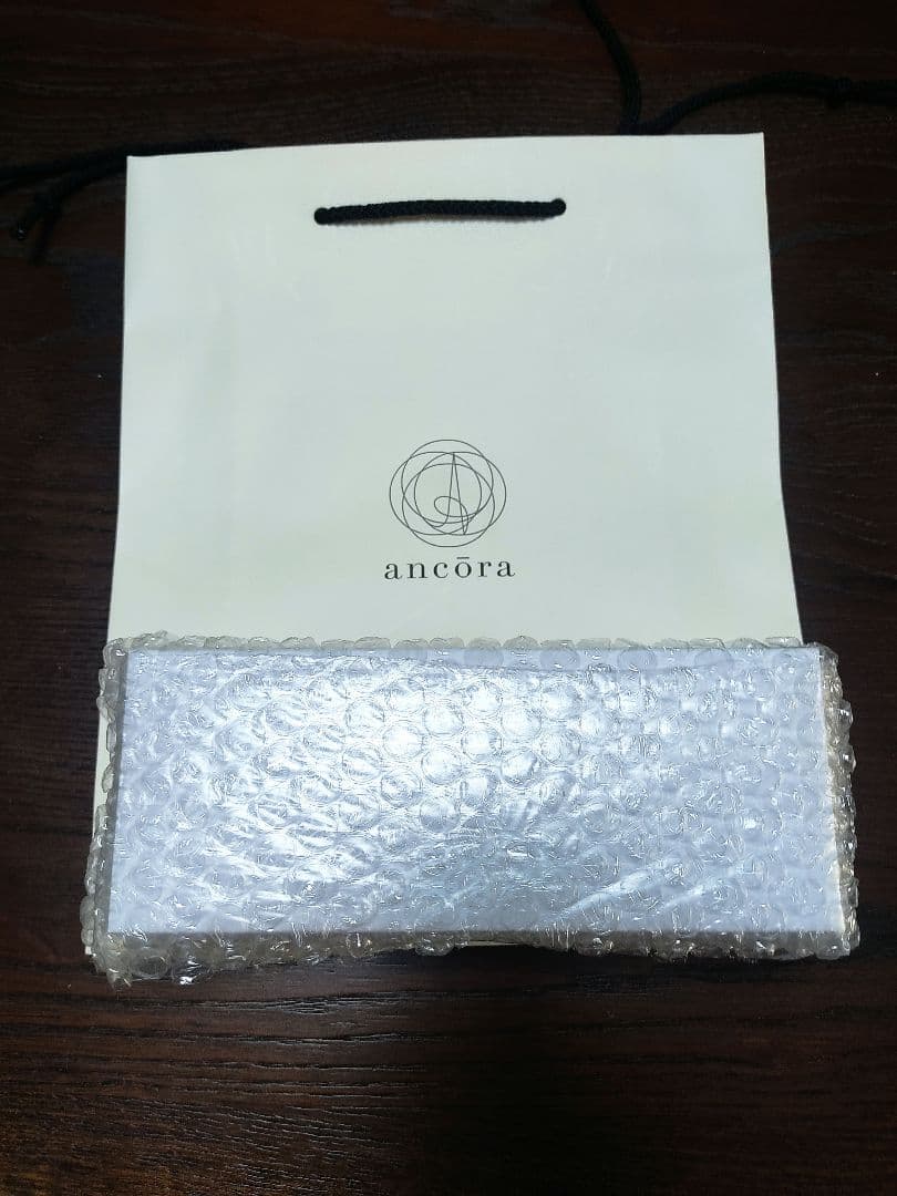 アンコーラ プロフェッショナルギアスリム万年筆 地球　中細字（MF）