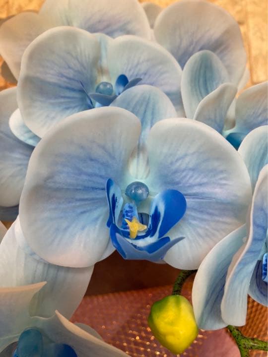 光触媒　人工観葉植物　ウォールグリーン　フェイク　フラワー　リアル胡蝶蘭b5