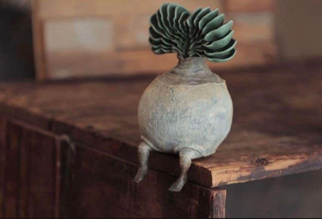 OZWRT TheCaudexMan BoophaneMan SSサイズ