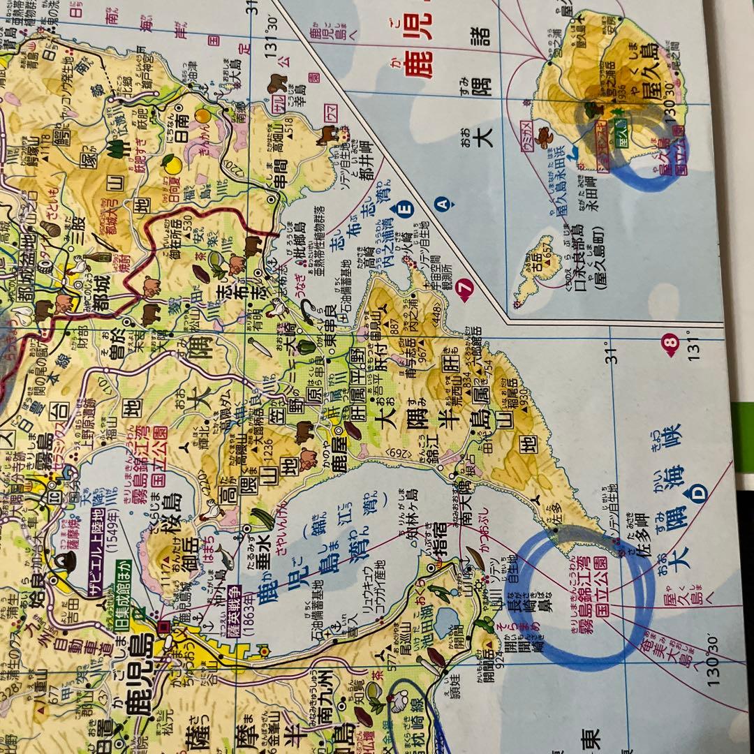 Bonobono⭐︎6年夏期・冬期講習と東海滝算数特訓