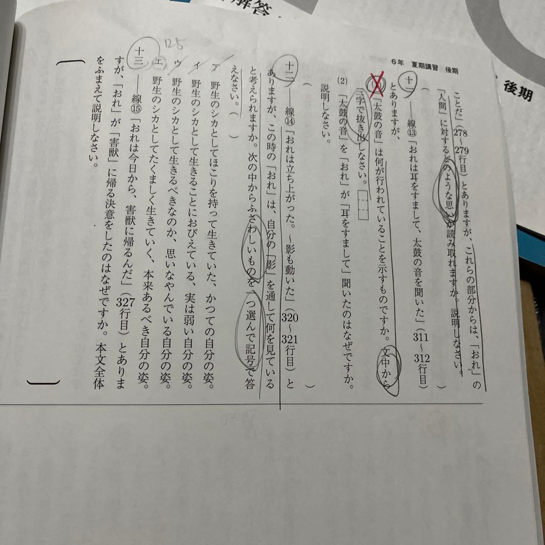 Bonobono⭐︎6年夏期・冬期講習と東海滝算数特訓