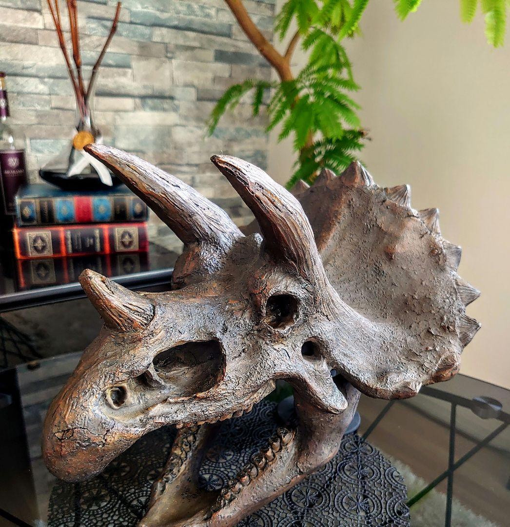 【2個セット】外箱なし ティラノサウルス トリケラトプス 頭骨 化石レプリカ