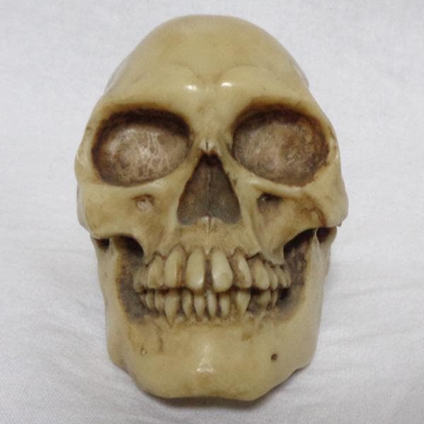 PAGAN ドクロ 髑髏 スカル ガイコツ 骸骨 文鎮 ペーパーウェイト UK製