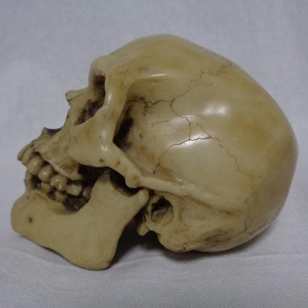 PAGAN ドクロ 髑髏 スカル ガイコツ 骸骨 文鎮 ペーパーウェイト UK製