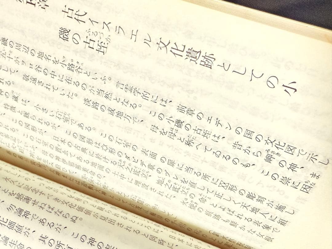 日本学とイスラエル 武智時三郎　著　新日本研究所　絶版