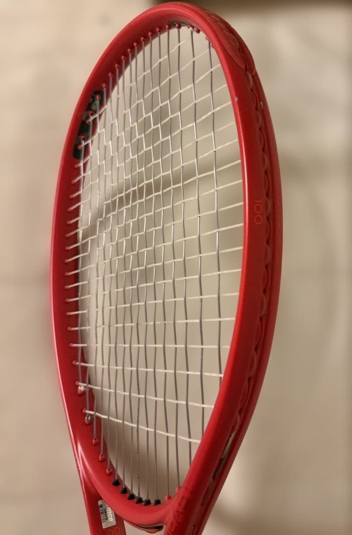プリンス　BEAST100 300g