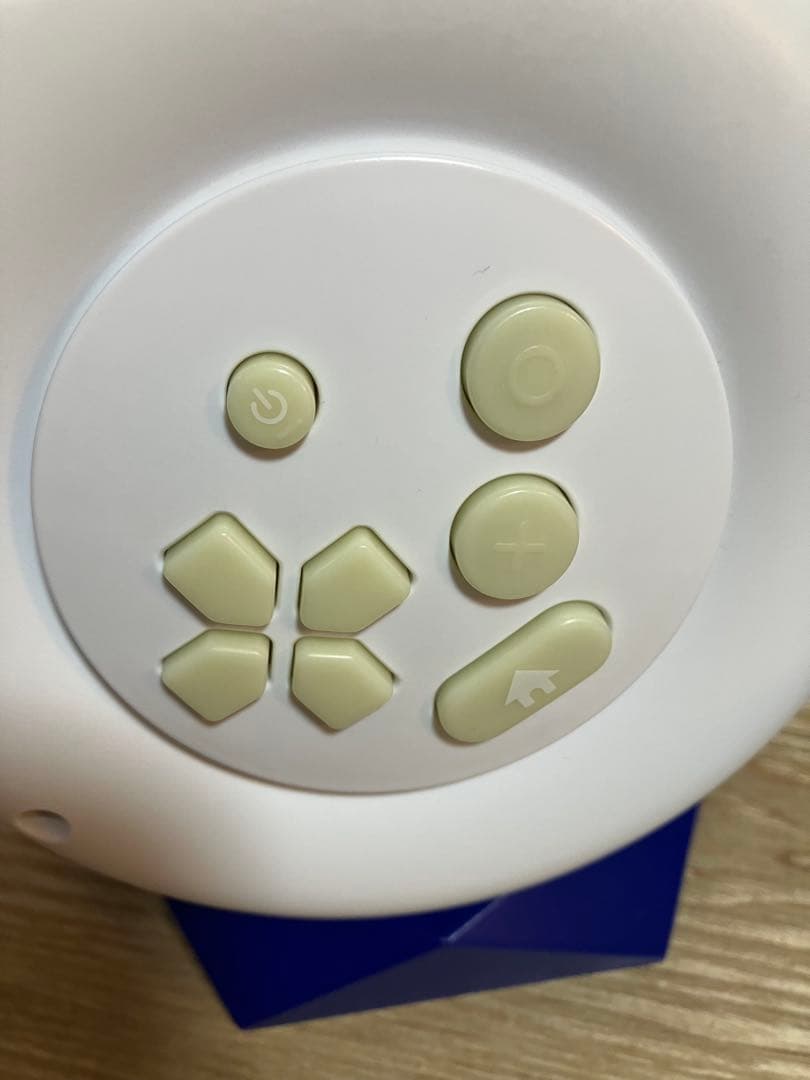 Disney Dream Switch２　知育玩具