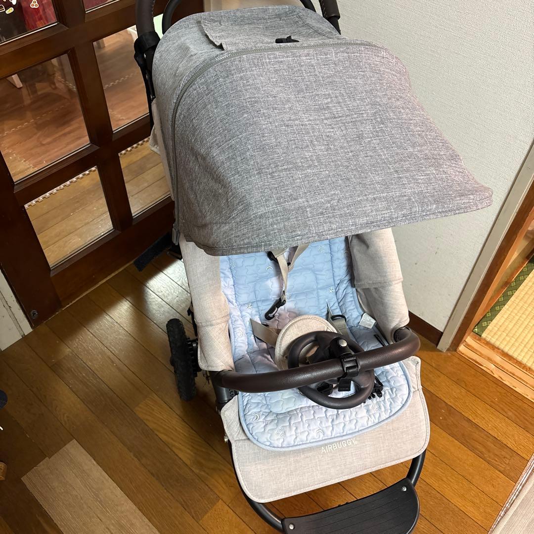 エアバギー　ココプレミアフロムバース　アースグレイ