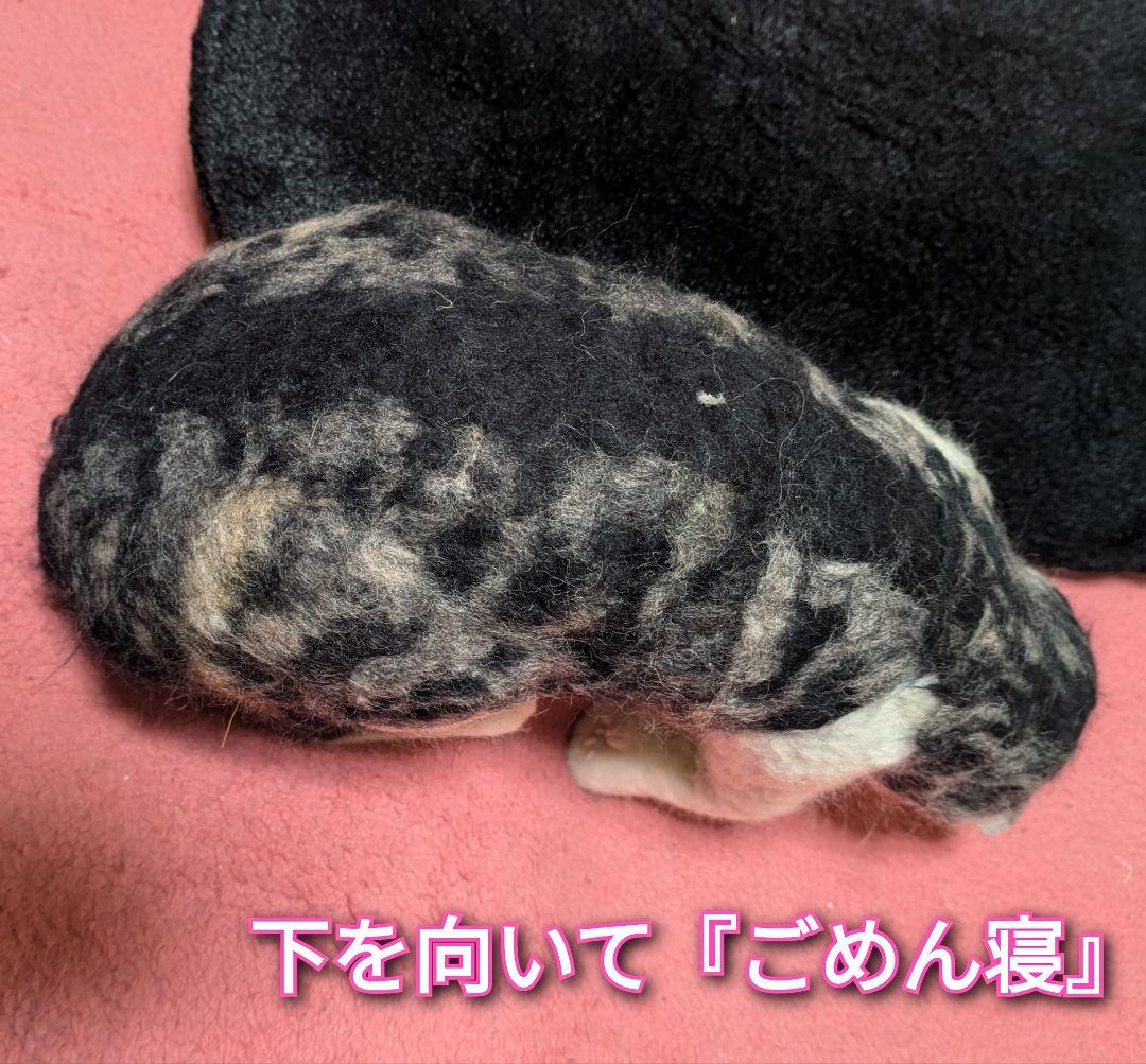 『KALDIねこの日バッグに入っちゃった猫』　リアル羊毛フェルト　猫　等身大