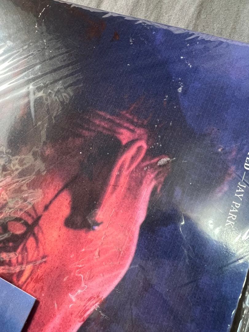 Jay Park Everyting You Wanted 限定版 CD