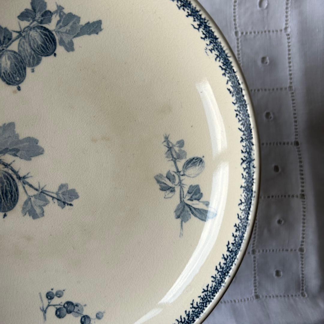 sarreguemines 高台　すぐりの実　グロゼイユ　コンポティエ　フランス