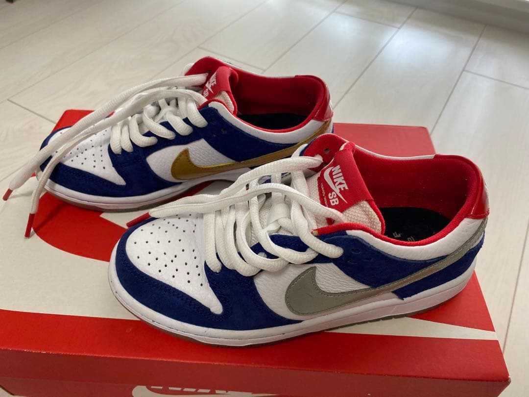 スケートボード NIKE DUNK LOW PRO IW QS 