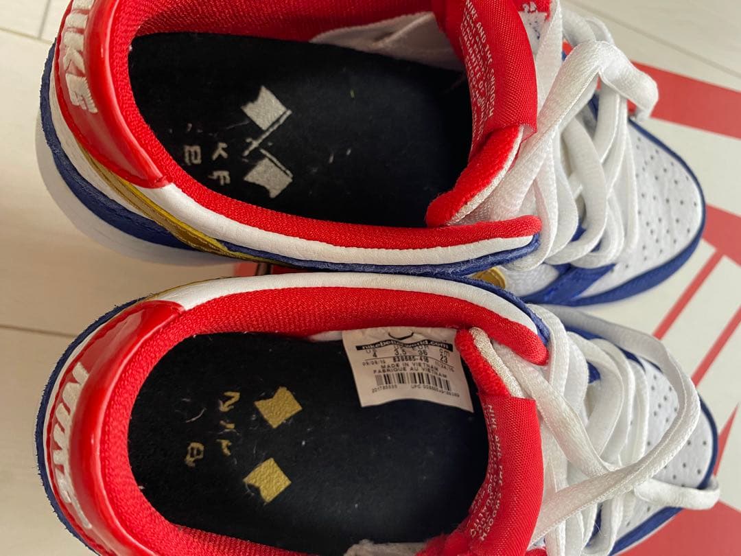 スケートボード NIKE DUNK LOW PRO IW QS 
