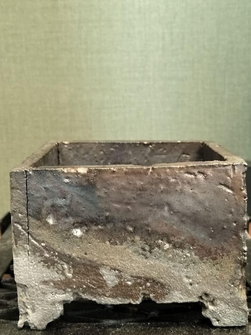 新品 たけろうポット角鉢 検) パキプス カタフ 芽の巣山 Tacson 作家鉢