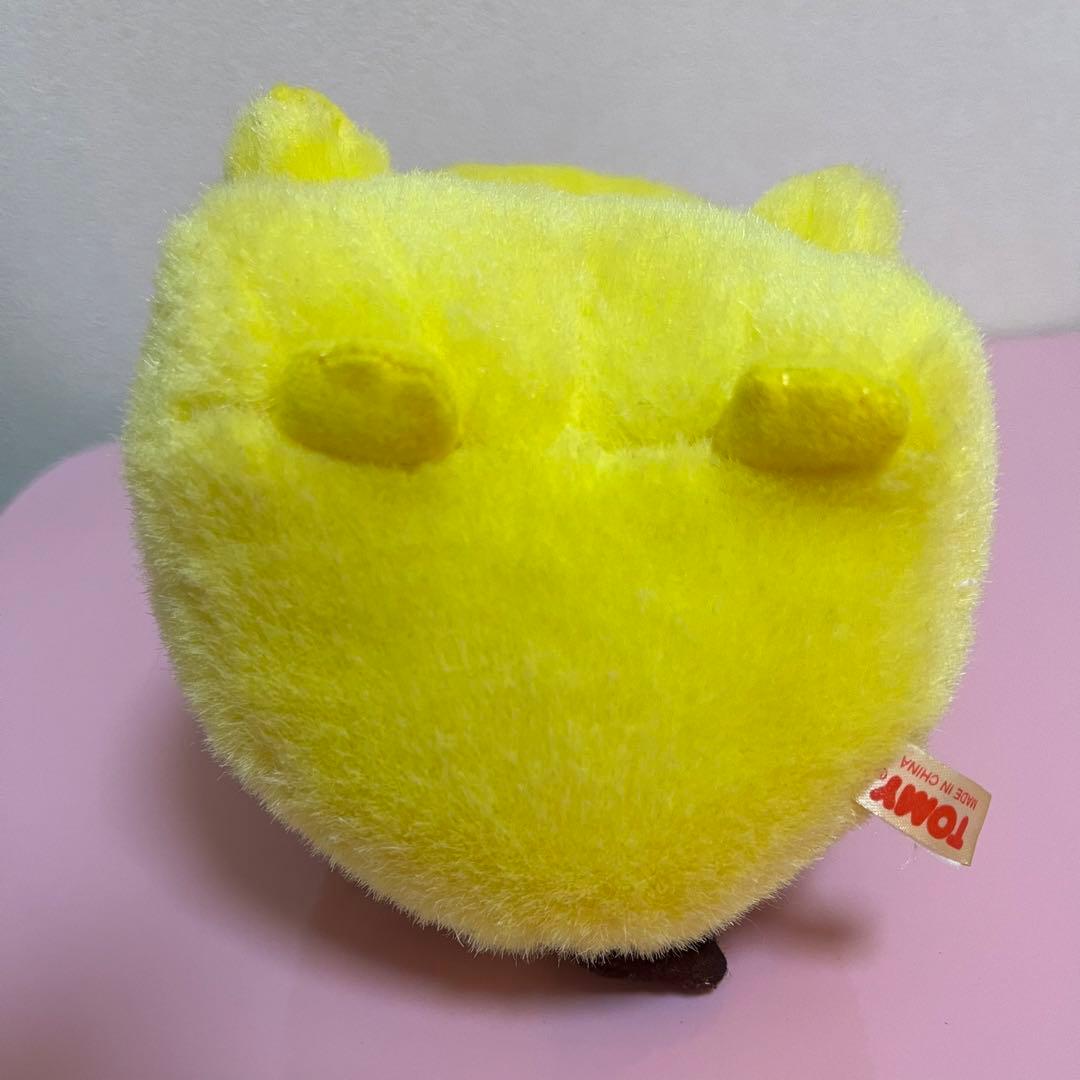 初期ピカチュウ