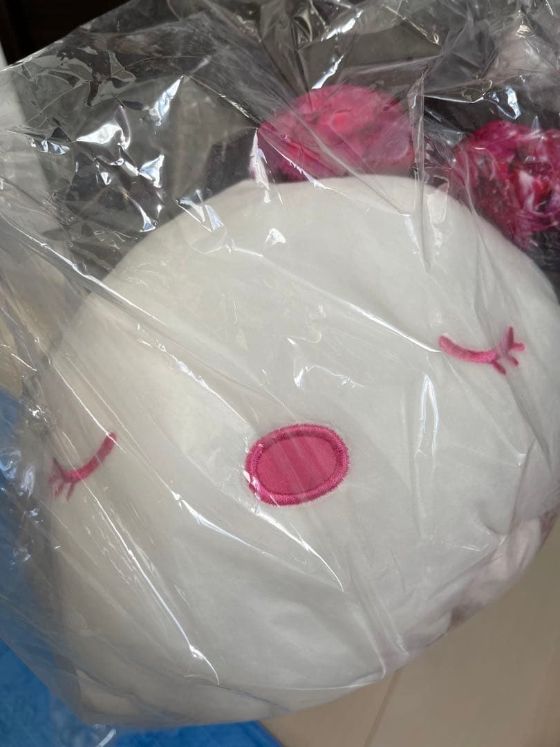 rady レディ　リゾフラ　ハート型とキティのセット