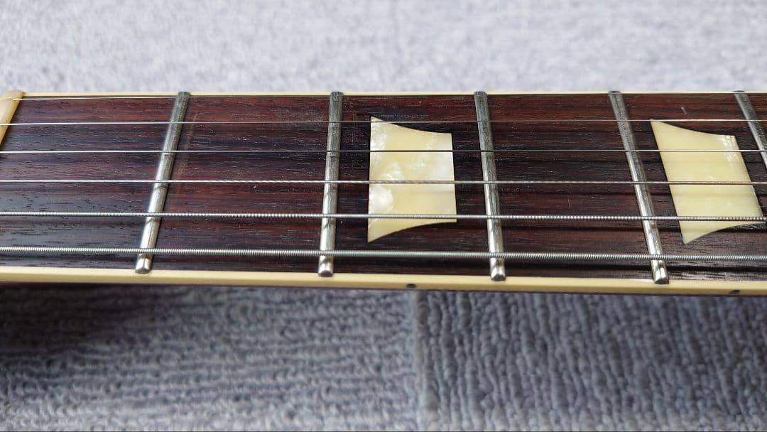FUJIGEN NLS20RFM レスポール
