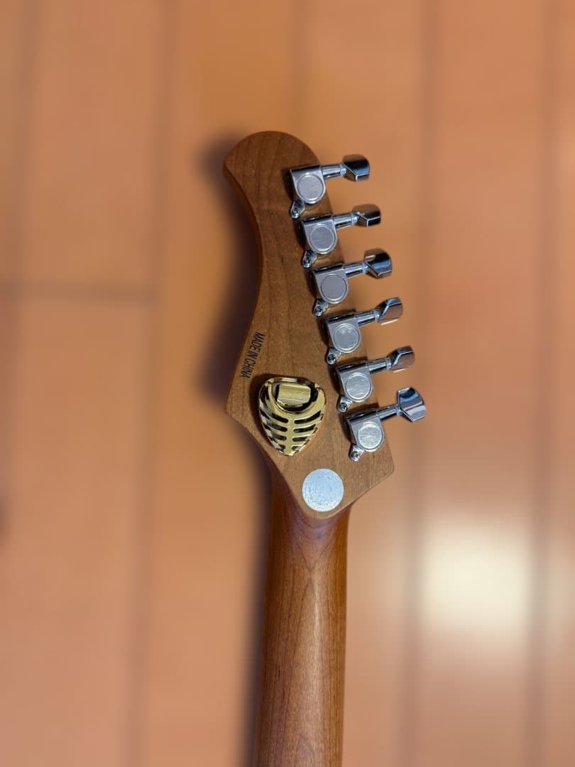 ギター BACCHUS GS-2DX RSM/M SFB