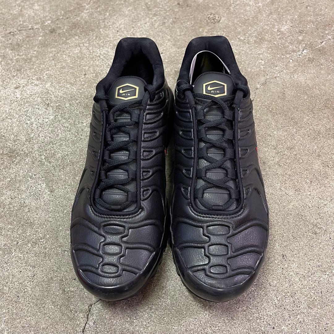 Nike Air Max Plus Premium FZ3038-001 29㎝
