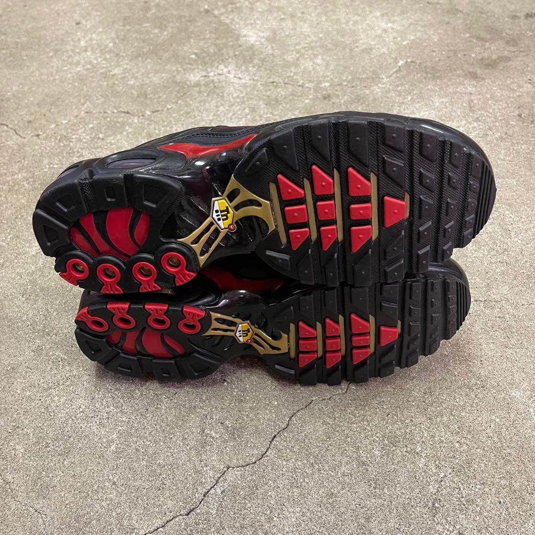 Nike Air Max Plus Premium FZ3038-001 29㎝