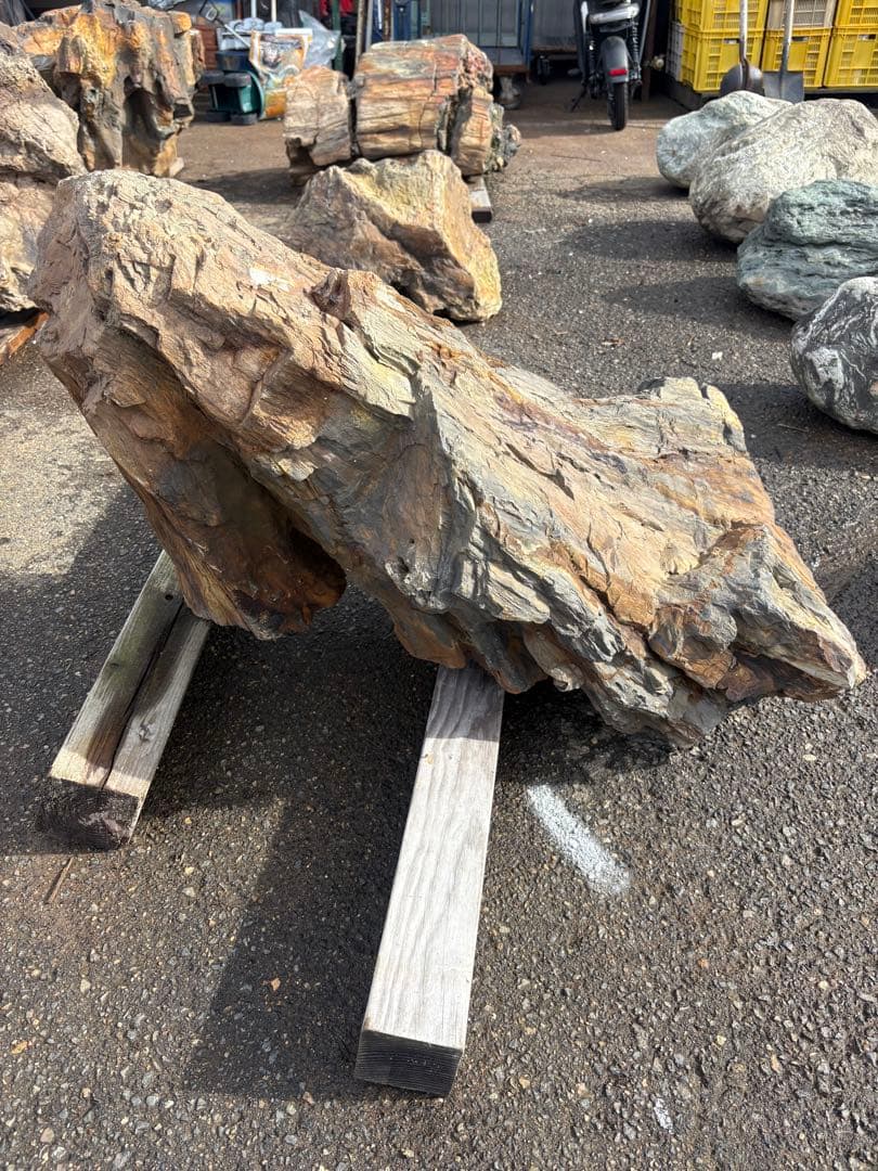 天然木化石 丸太状 原石 庭石 観賞石 80cm級
