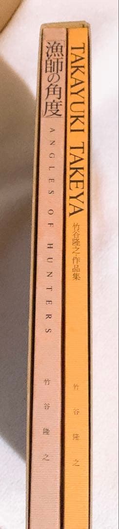 漁師の角度 竹谷隆之作品集