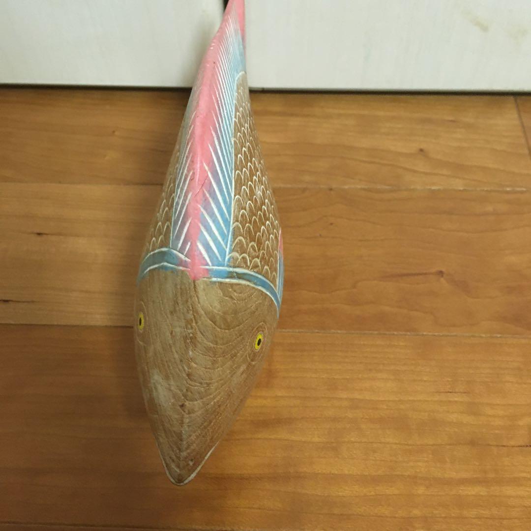 カラフルな熱帯魚　心がなごみます