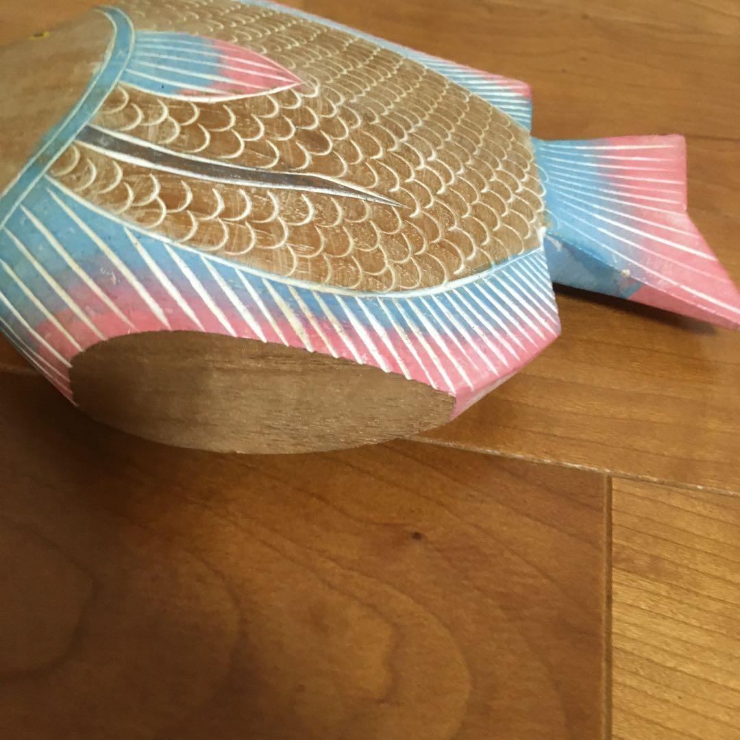 カラフルな熱帯魚　心がなごみます