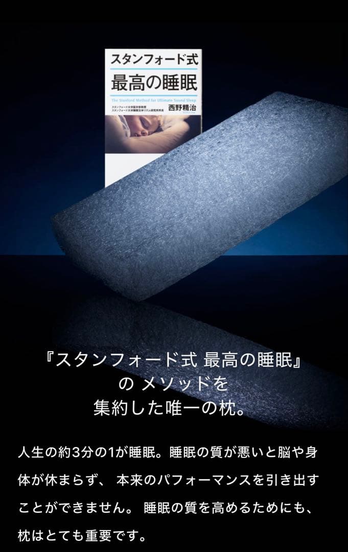 BRAIN SLEEP メッシュピロー (スタンダード)メッシュカバー