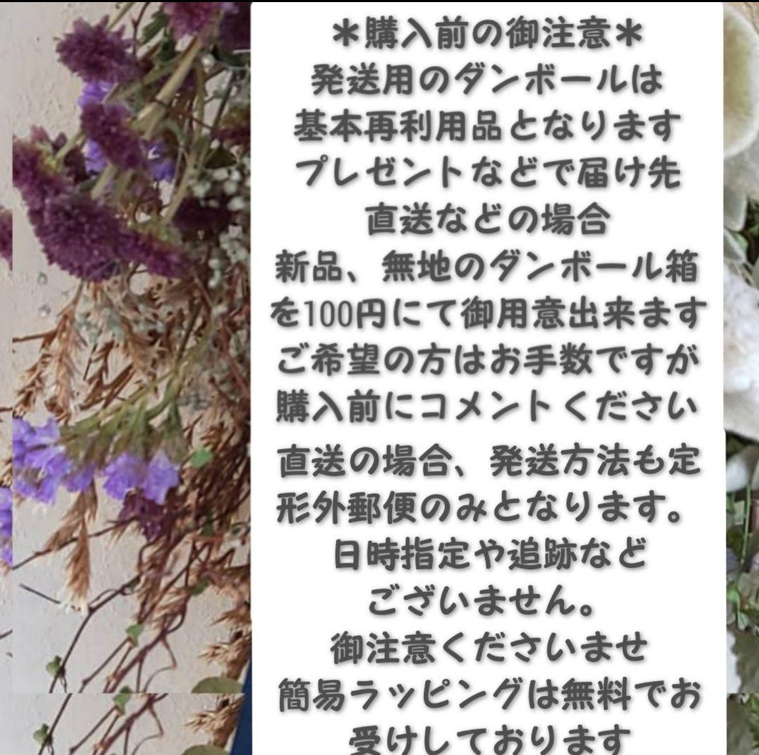 専用＊レモン&ライムボール   ドライフラワースワッグ