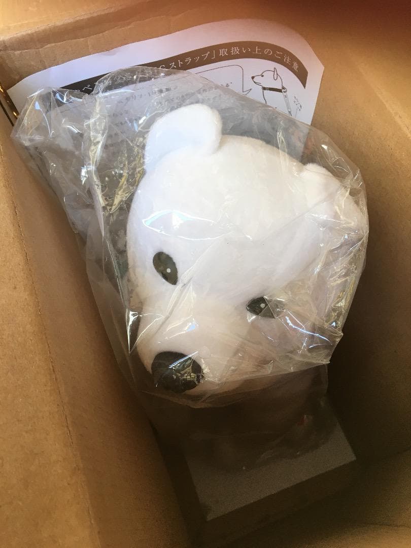 大至急！！買って下さい！！お願いします！！