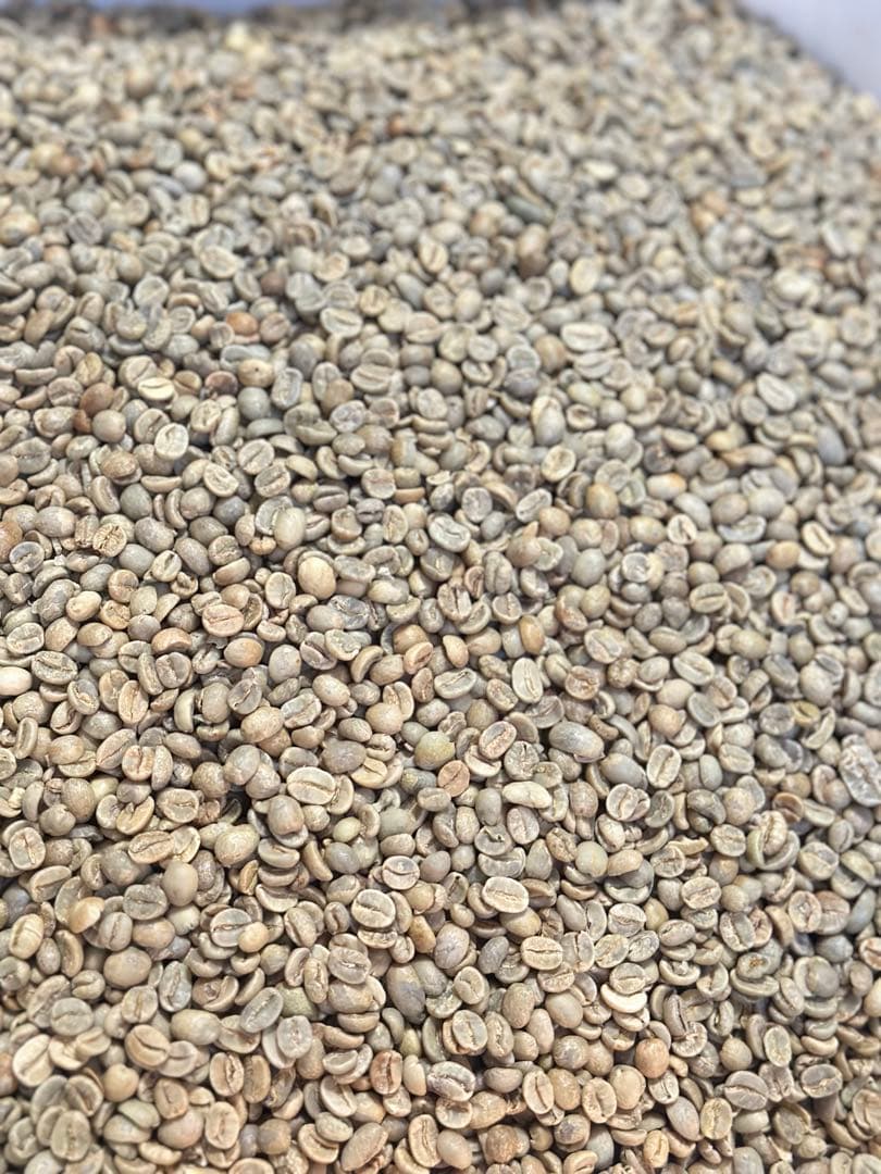 [コーヒー 生豆 ]特別3種合計10kgセット