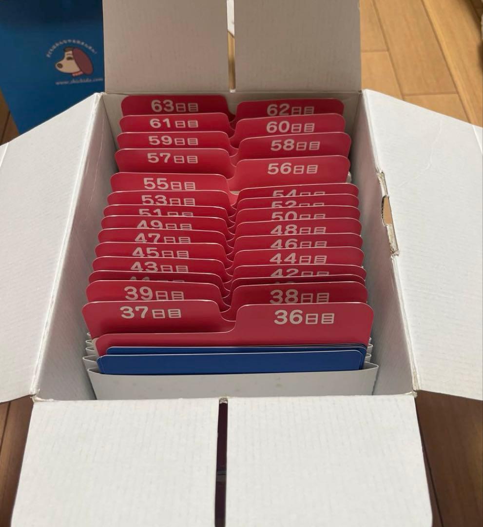 しちだ式　七田式　SHICHIDA　知育玩具 　ドッツセット 1日目〜63日目