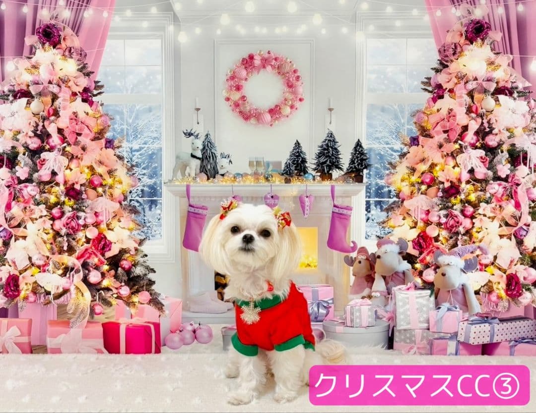 業務用　2026年お正月トリミングチョーカー+背景布×3　ペット、犬撮影用ブース