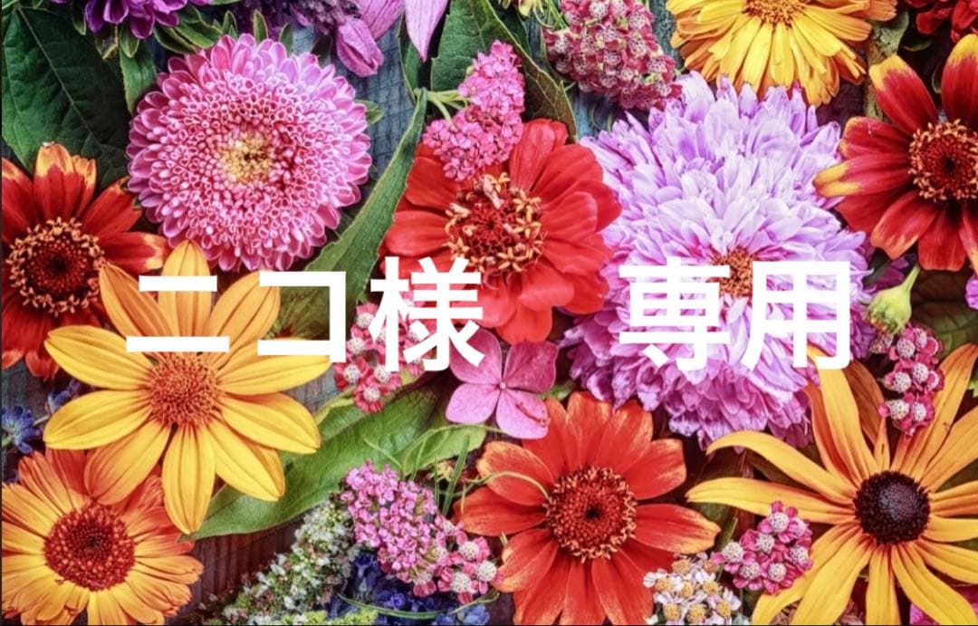 ニコ