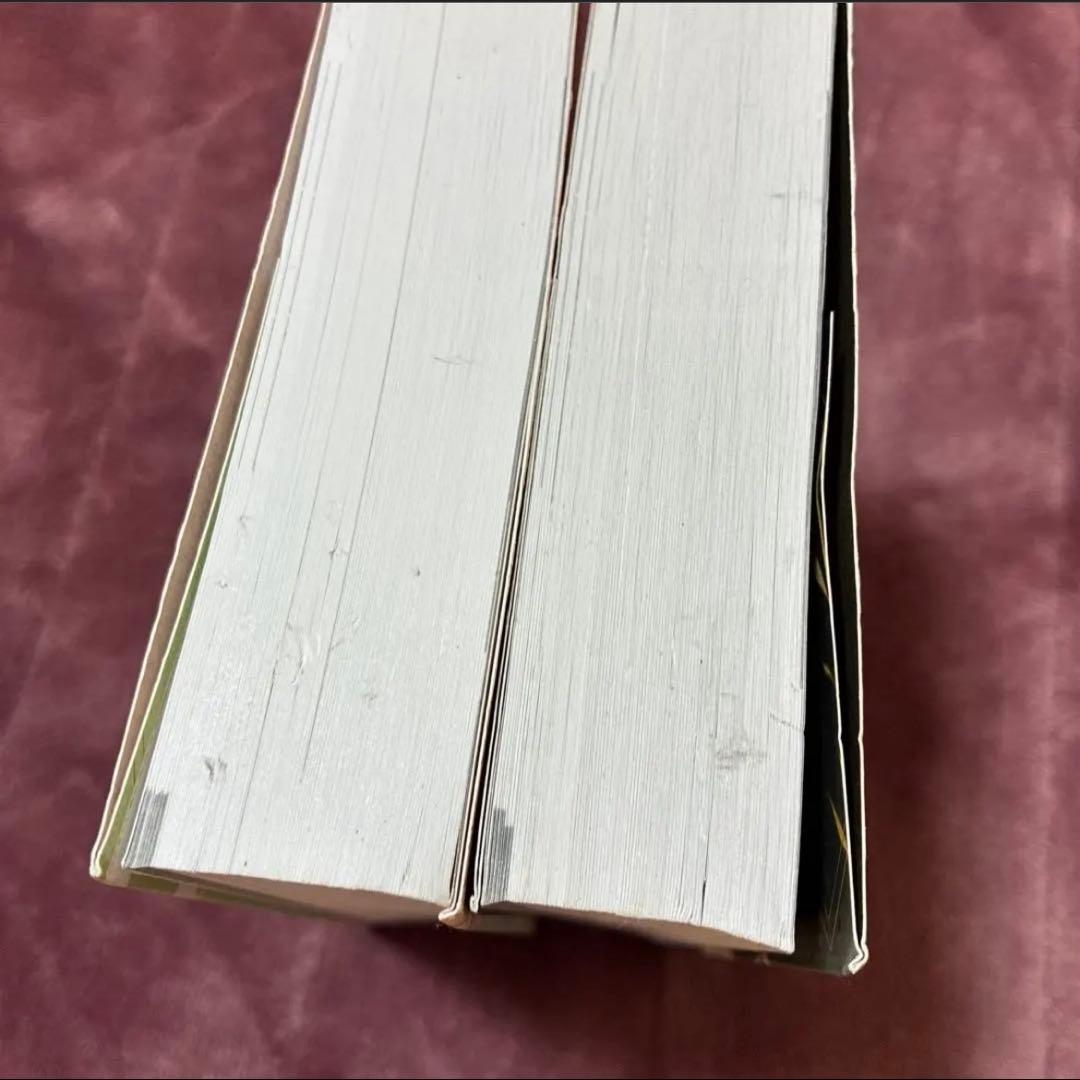二哈和他的白猫師尊　邦訳1巻〜8巻＋英語版1、2巻　10冊セット